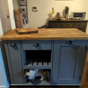 blue kitchen island with wood top with chopping board and cat on shelf